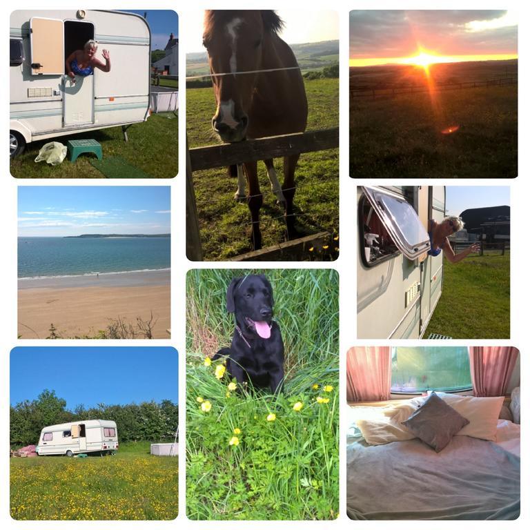 Pantysgyfarnog Near Carmarthenshire Pembrokeshire Hotel Екстериор снимка